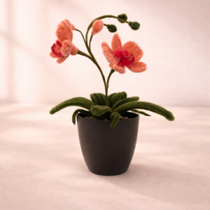 Fröhliche Orchidee